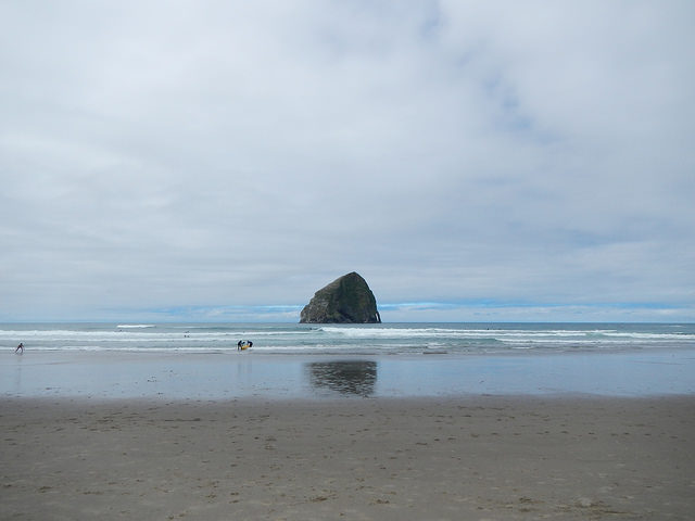 34810134525_7f180dddba_z