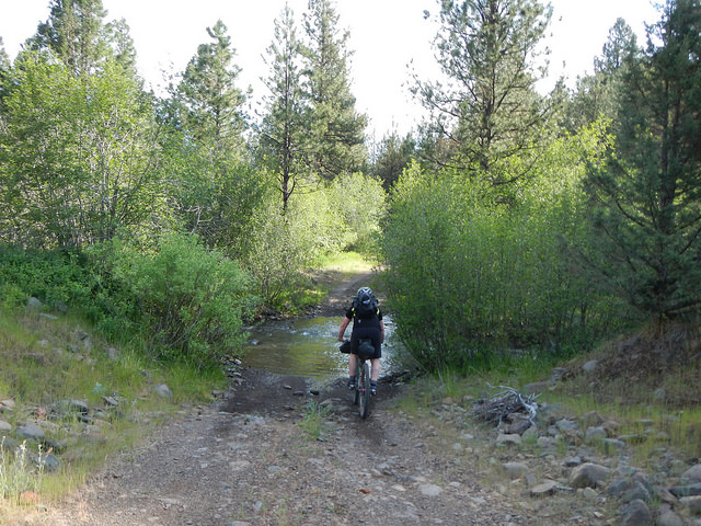 34249057584_6cbc26263f_z