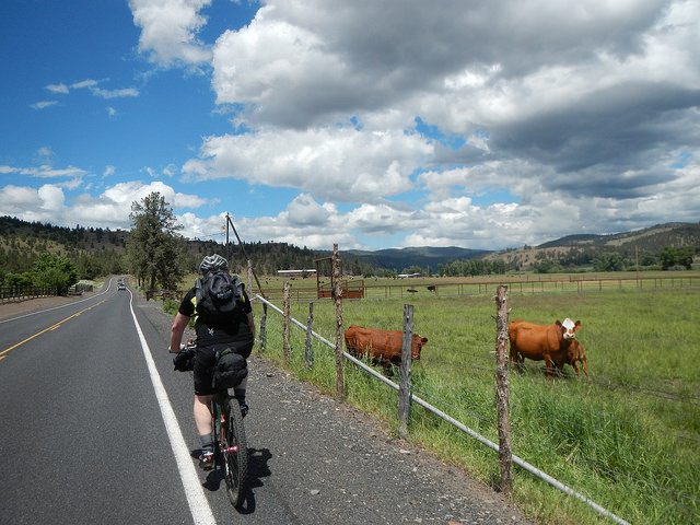 34249174324_67e1718a17_z