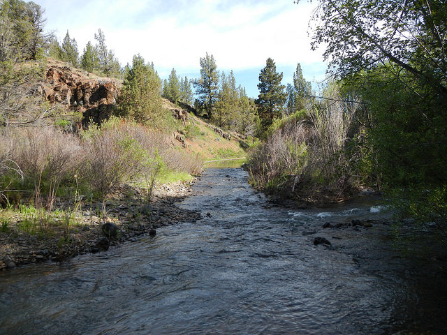 34282608423_09374e1aae_z