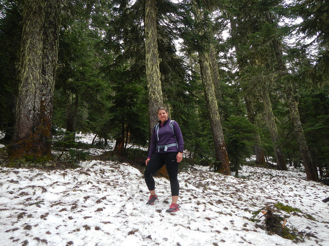 34439580263_89b7299897_z