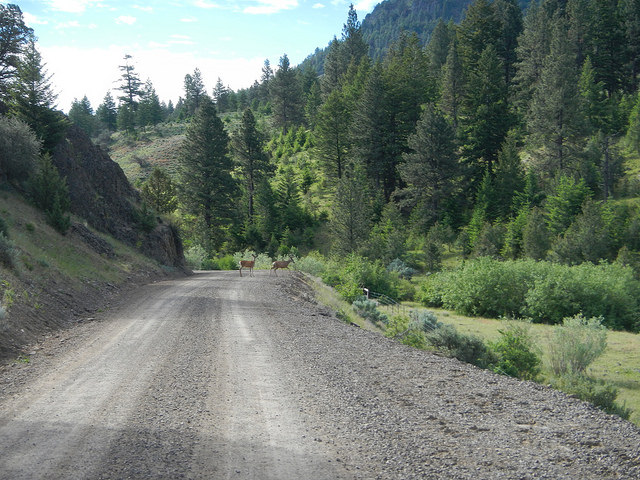 34705624770_787058eecb_z