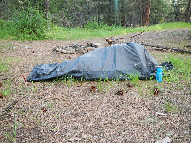 34962289621_206a247c57_z