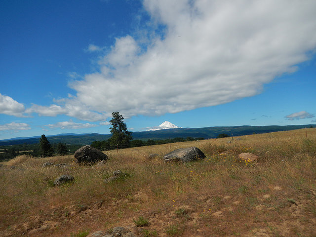 34998850740_07bfa05aec_z