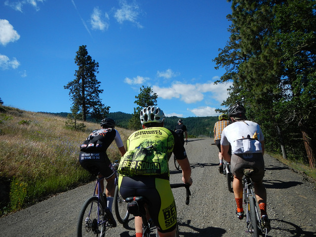 34998869210_0068093ab6_z