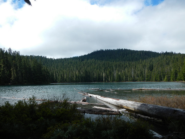 35083709732_478b4d8e07_z