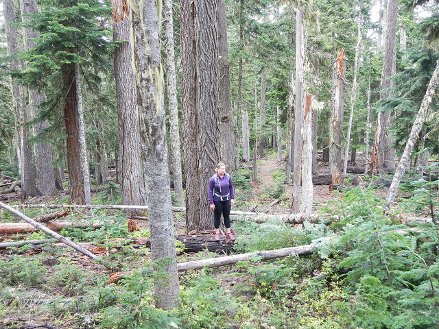 35119031161_a9cc2d4475_z