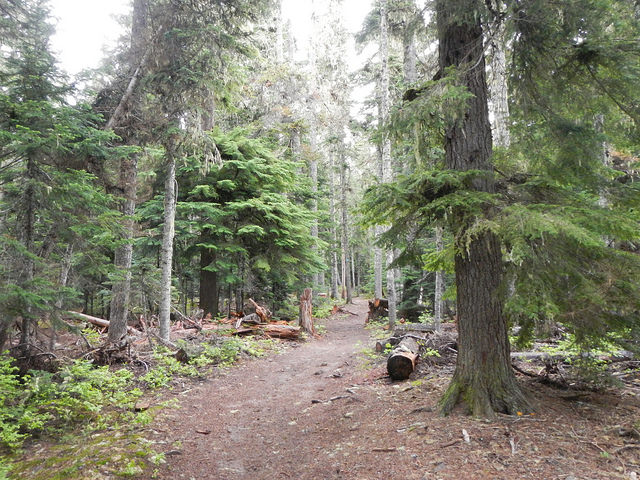 35119600131_5258cb8ea3_z