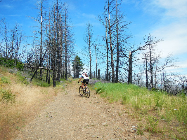 35385429115_eca13c875e_z