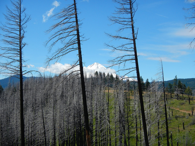 35385432275_8c3201842e_z