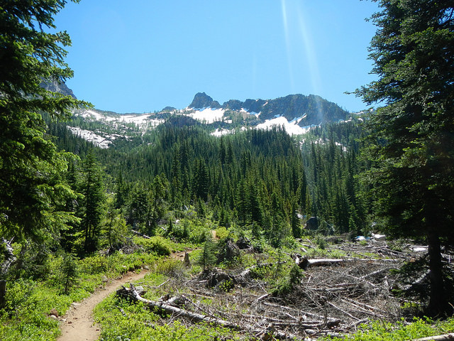 35007542443_19784b03b3_z