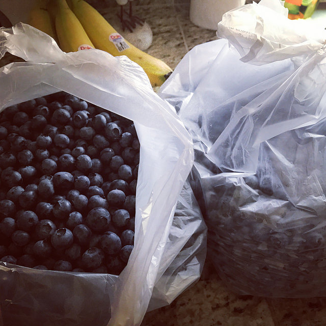 35162098373_f8150808f9_z