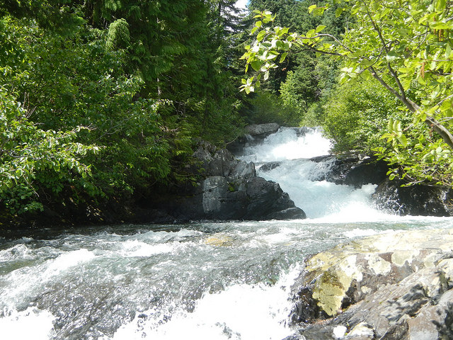 35430246340_f30340900c_z