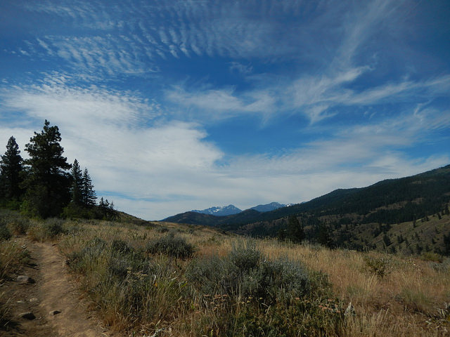 35648741432_6481831f90_z