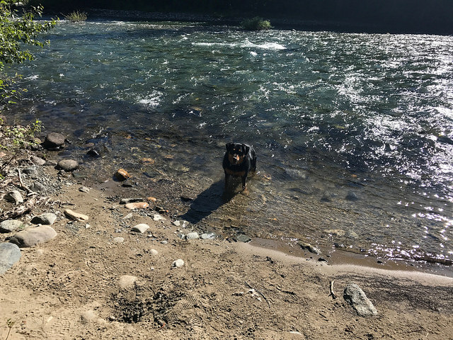 35658971872_d3a88bae33_z