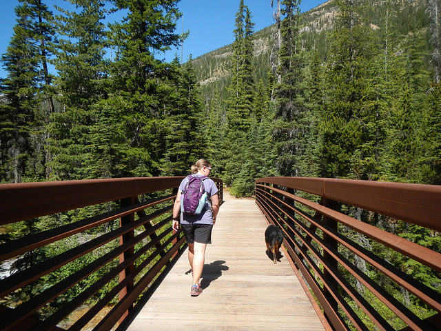 35685712391_a0aef8b227_z