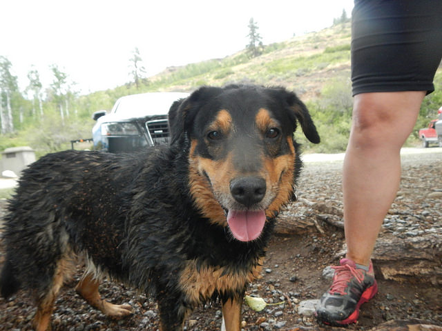 35685793991_aa2b3f28bc_z