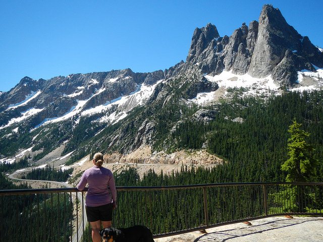 35776995126_e392daea89_z