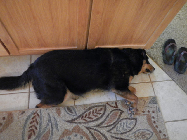 35777003516_cfac2d6590_z