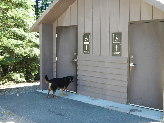 35777196186_64951d1e12_z