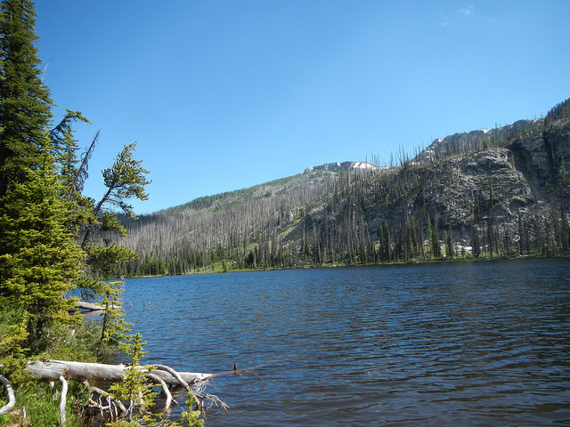 35777724836_8745b326b9_z