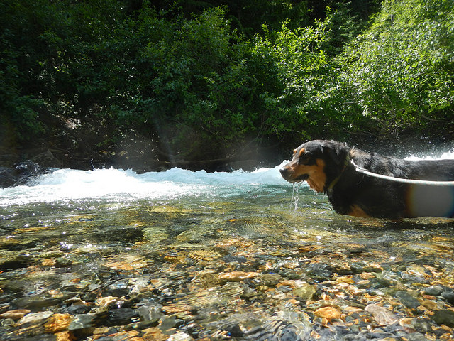 35778016496_5bcb7d0930_z