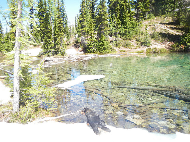 35817622645_7f8f0a54be_z