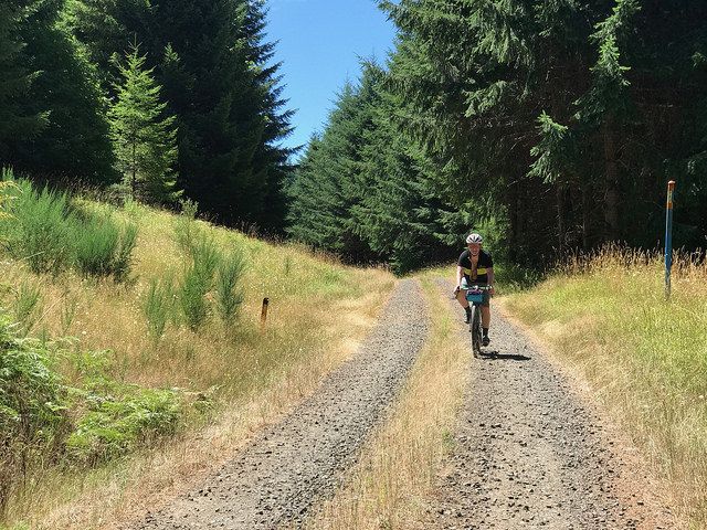 36056975486_de69335760_z