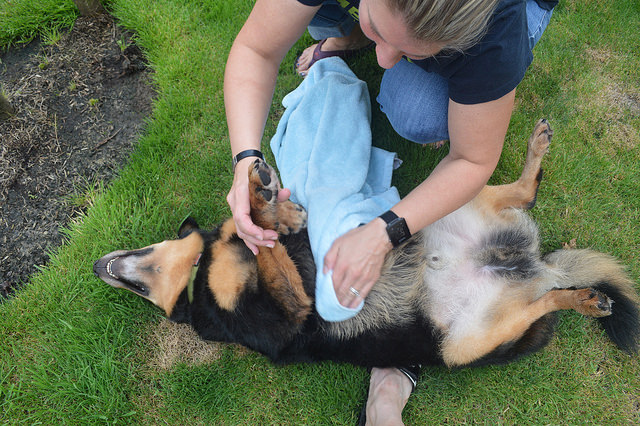 36889705150_592d06fffa_z