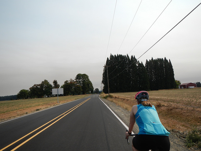 37153165395_d8caa59af5_z