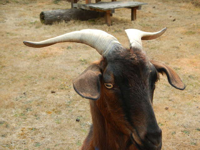 37153170185_05765c4aef_z