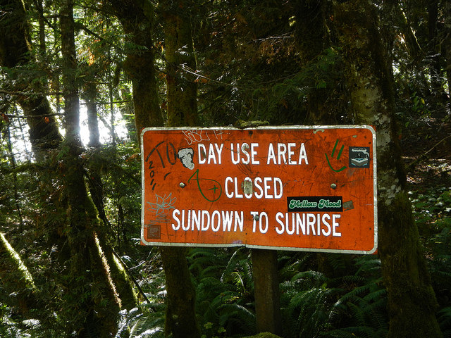 23584168768_28ae72d76b_z