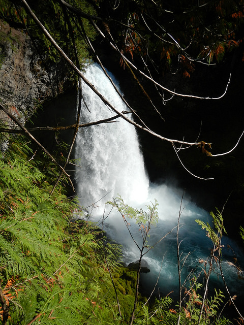 23584286068_30827b5c97_z