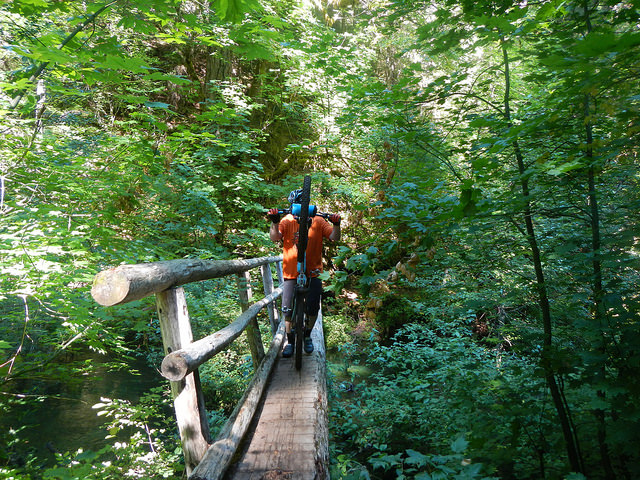 36765807903_b929cc5e4d_z