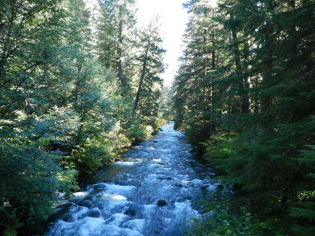 37405163982_0d7173e017_z