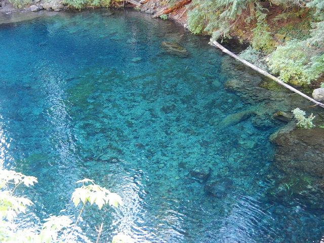 37436049751_793e09702b_z