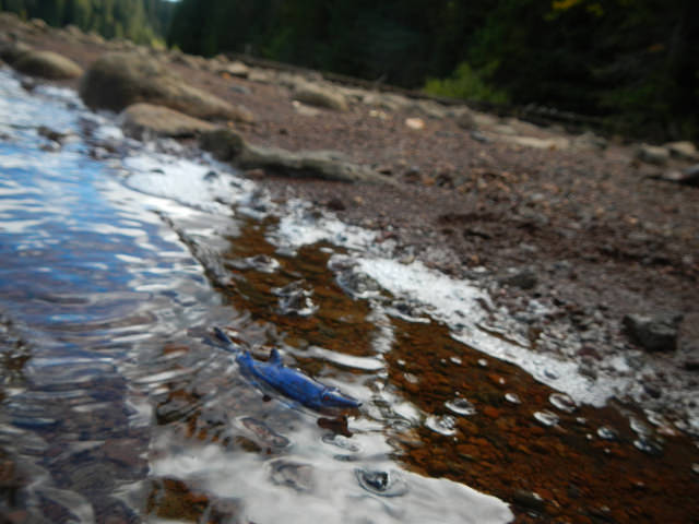 37535288946_4bcd78221a_z