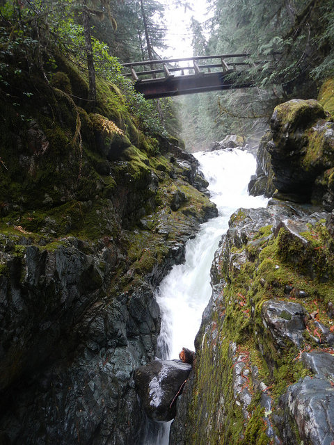 24451888918_127a508a8c_z