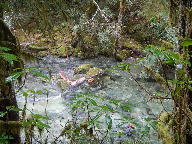 24451900198_7c211b1910_z