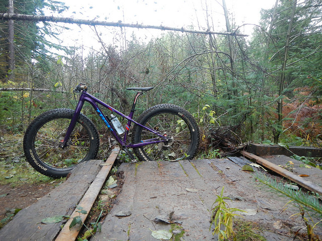 37643085485_a5acecef11_z