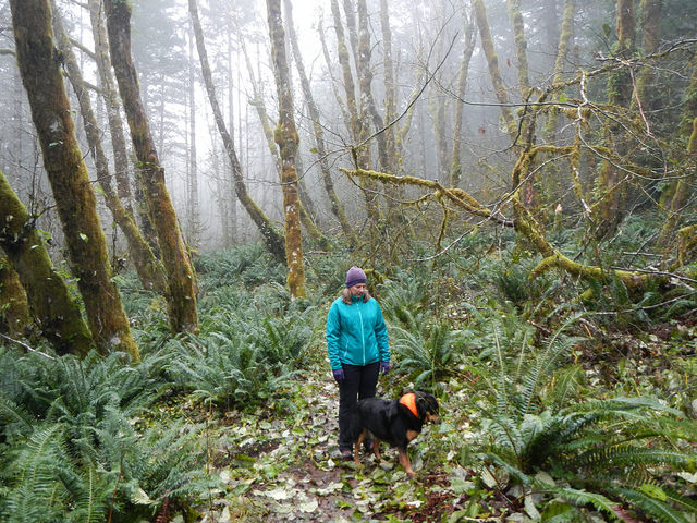 37921354584_587e20a600_z