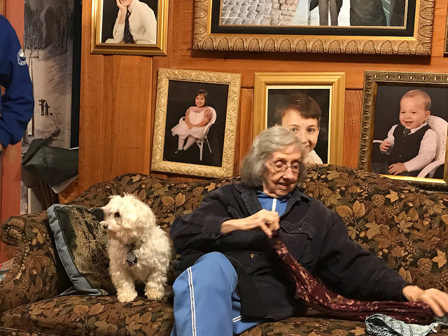 37990110832_6ef6ce8cd8_z