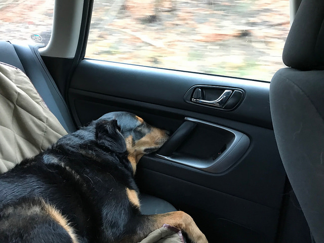 38202397721_3fac8fdb55_z