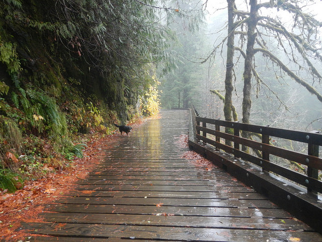 38267365136_175c72a092_z