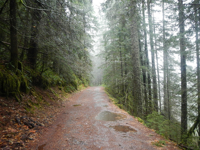 38267372366_46ef2258d0_z