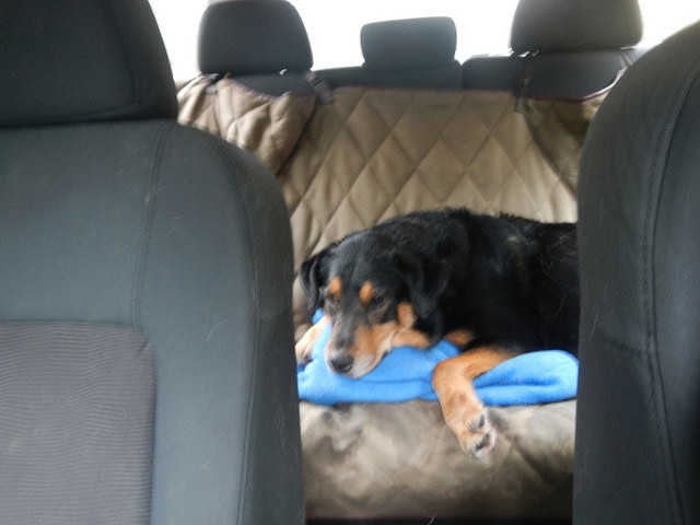 38290593182_a07211f437_z