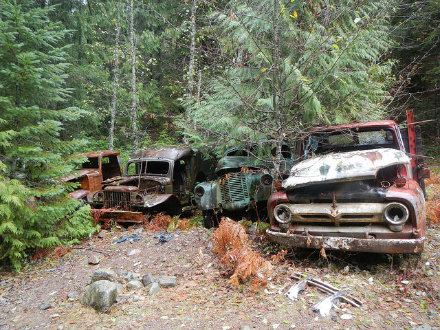 38290648452_2e0d8909db_z