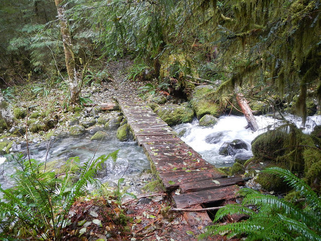 38322195641_af30bc0049_z