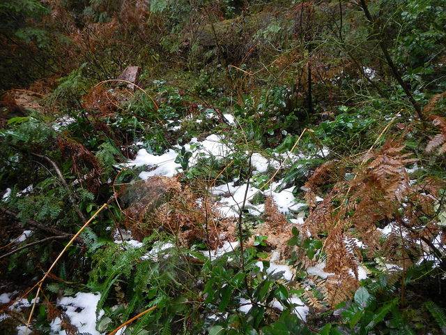 38322205631_03969d5260_z