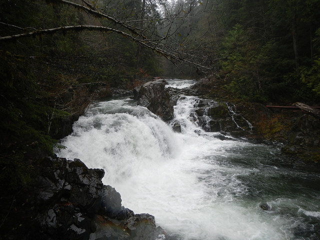 38322241811_bfcd5d413e_z